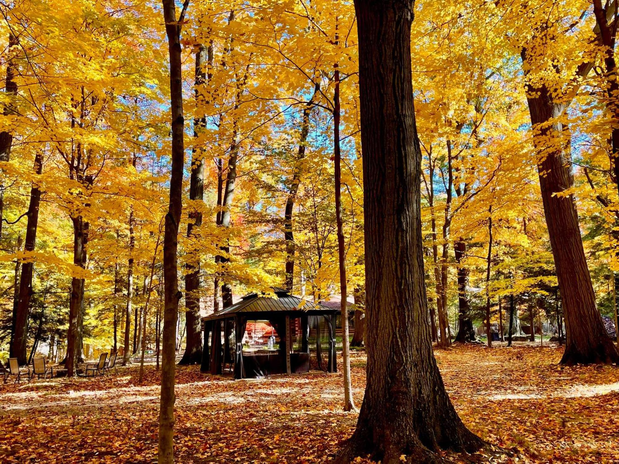 Log Cabin - Natures Oasis - Fire Pit & Gazebo Клівленд Екстер'єр фото